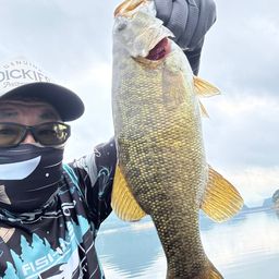 スモールマウスバス