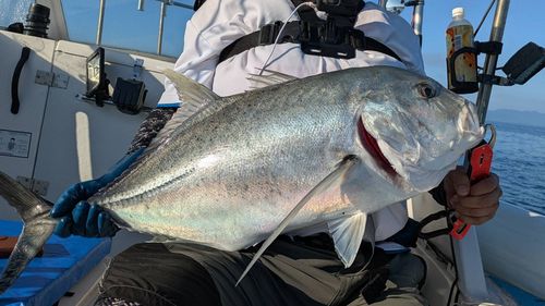 GTの釣果