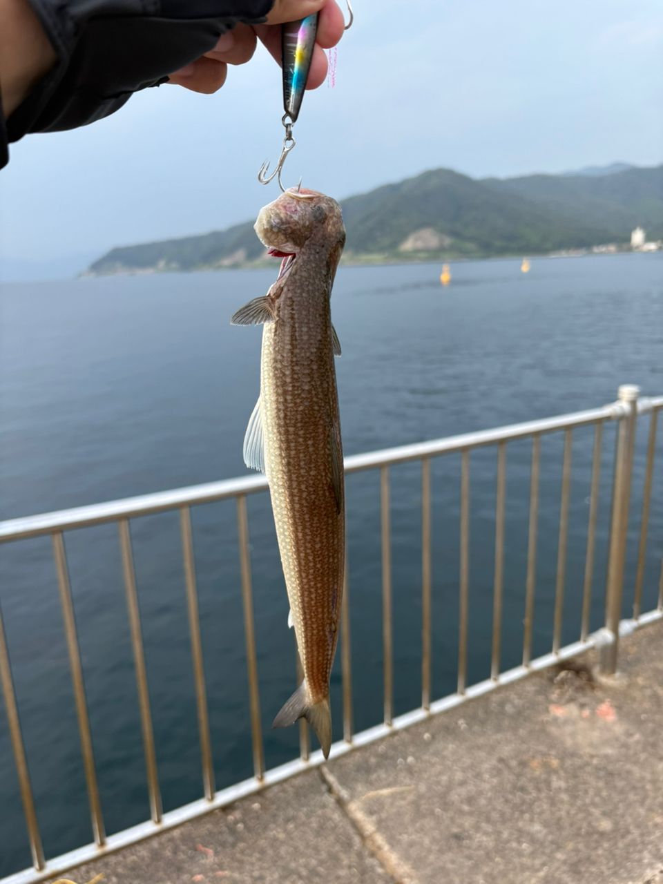 エソ
