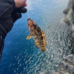 イシミーバイ