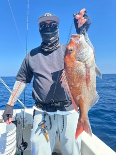 タイの釣果