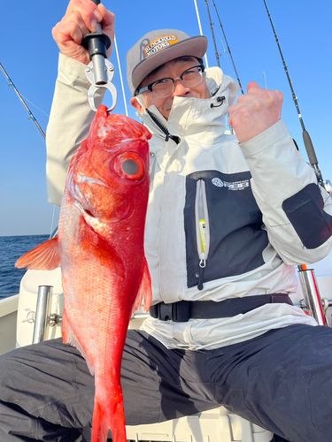 キンメダイの釣果