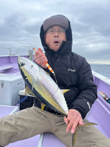 キハダマグロの釣果