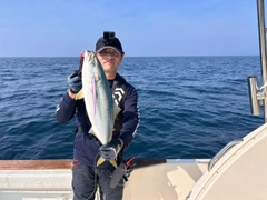 ワラサの釣果