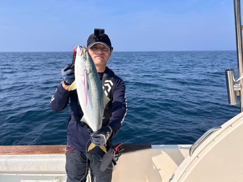 ワラサの釣果