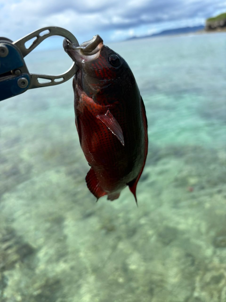 ヒロサー