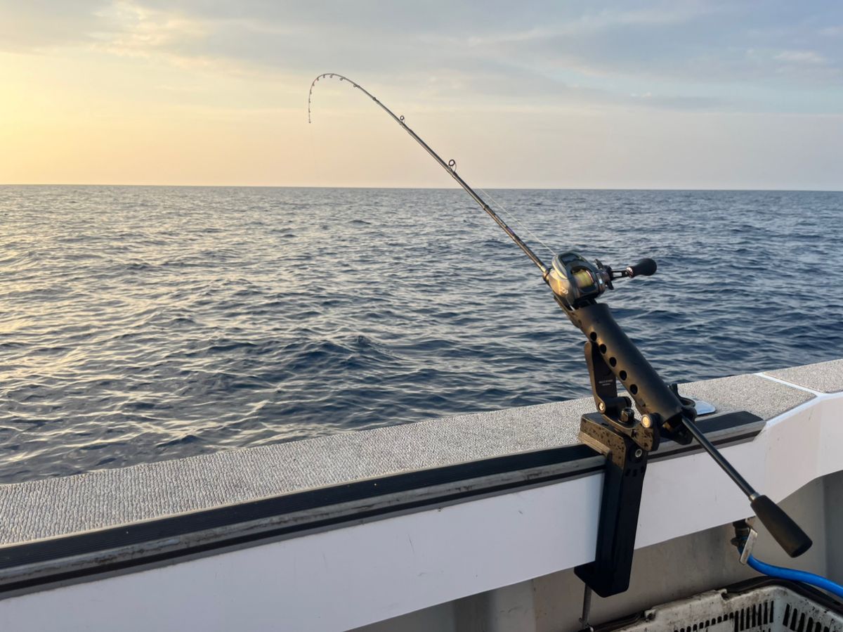 Guest40677787さんの釣果 2枚目の画像