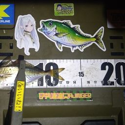 マアジ
