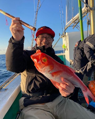 キンメダイの釣果