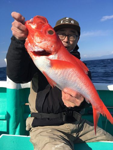 キンメダイの釣果