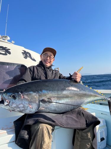 キハダマグロの釣果