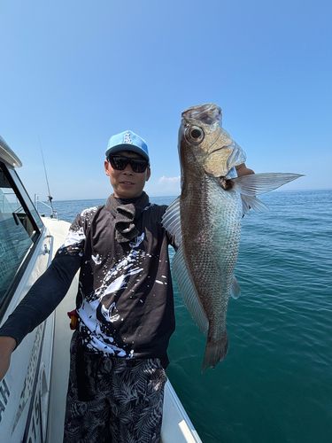 クログチの釣果