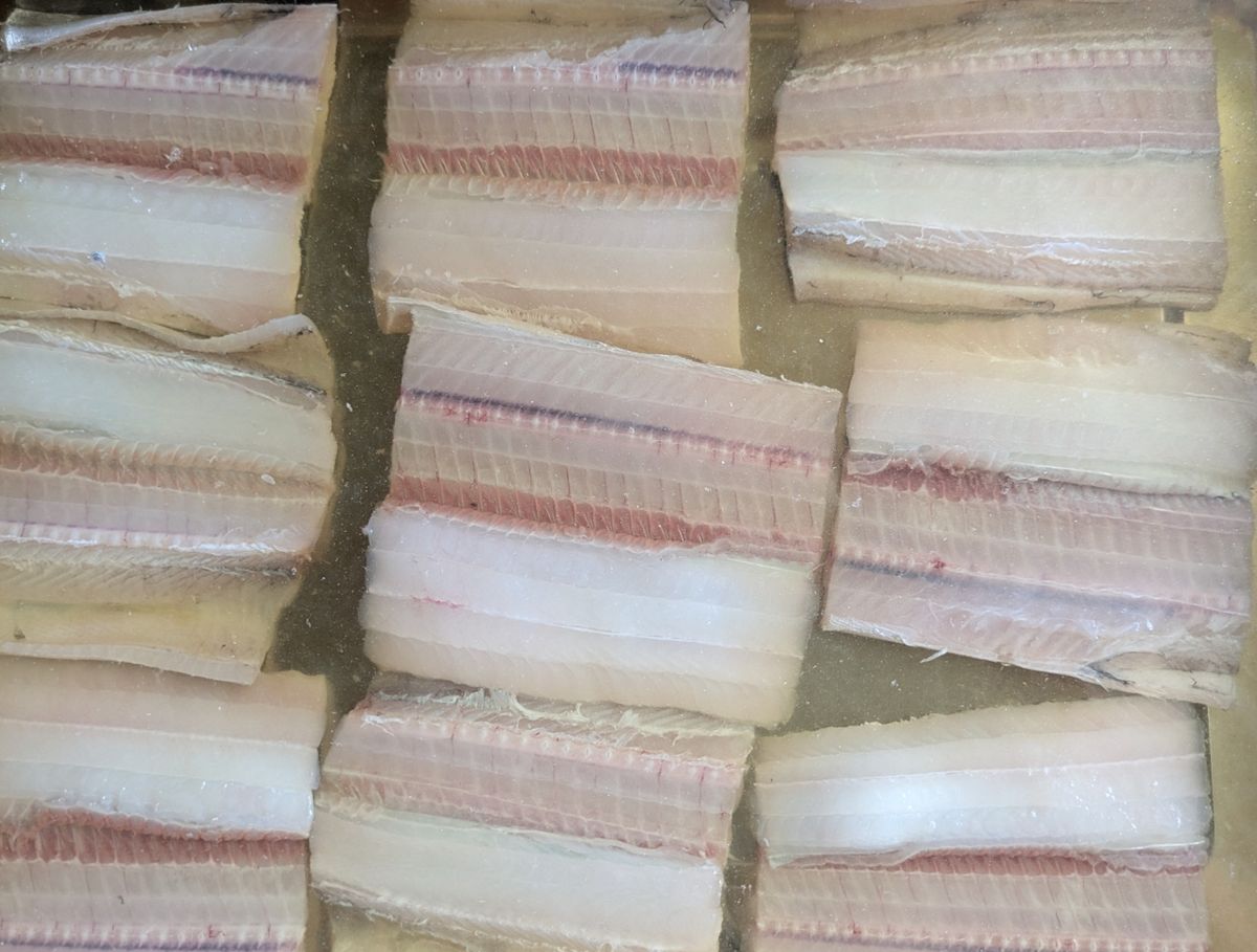 しおタンさんの釣果 3枚目の画像