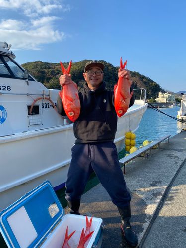 キンメダイの釣果