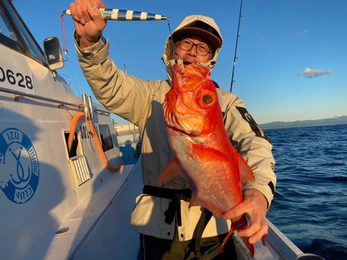 キンメダイの釣果