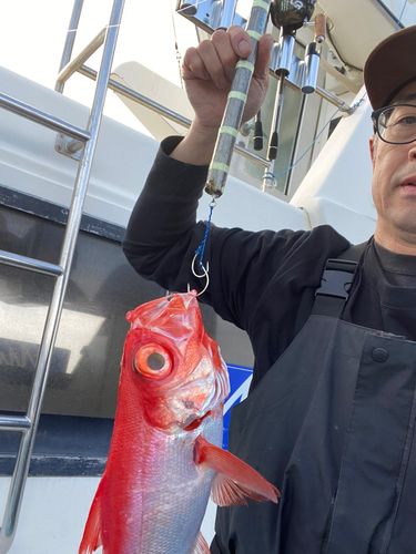 キンメダイの釣果