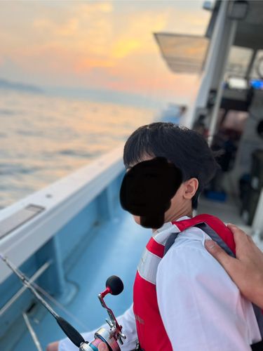 タイの釣果