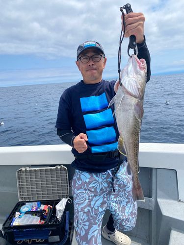 タラの釣果
