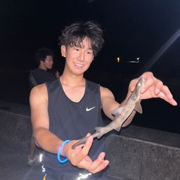 ドチザメ