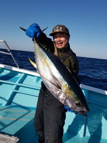 ビンチョウマグロの釣果