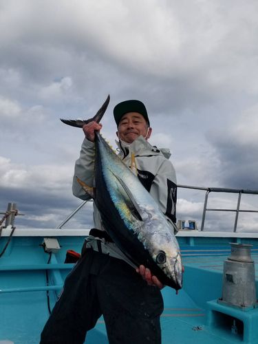 キハダマグロの釣果