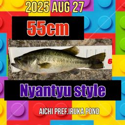 ラージマウスバス