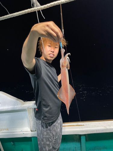 アカイカの釣果