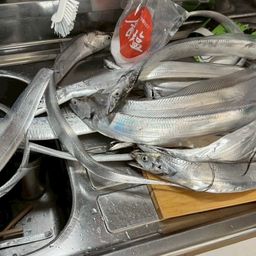 タチウオ