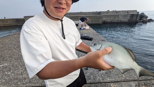 イスズミの釣果