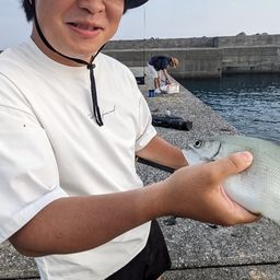 イスズミ
