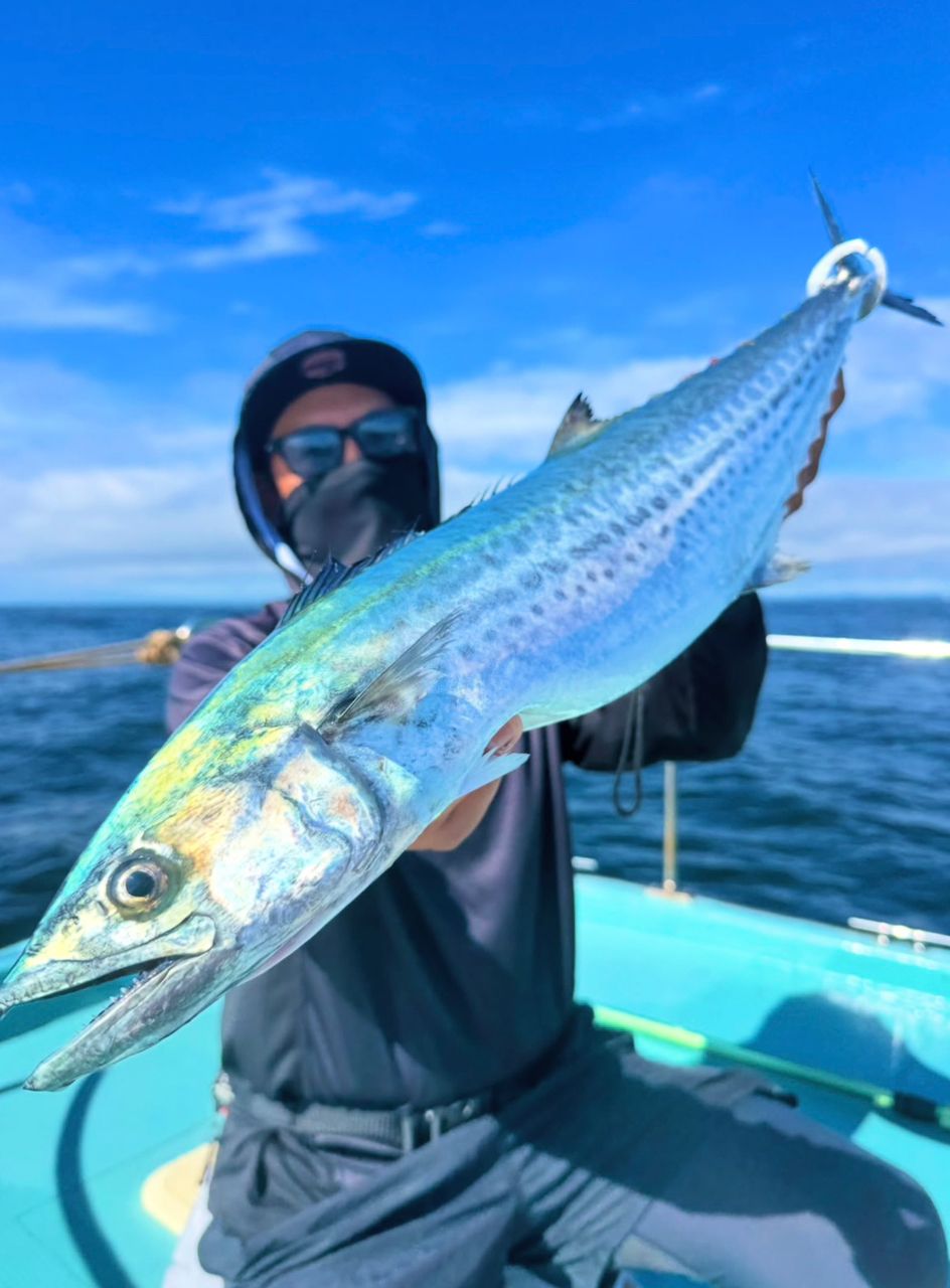 甲斐大地さんの釣果 2枚目の画像