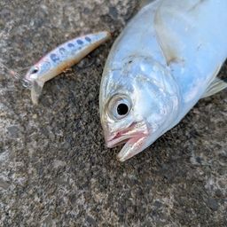 メッキ