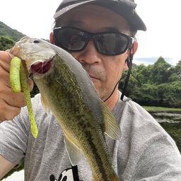 ブラックバス