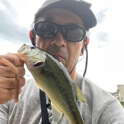 ブラックバス