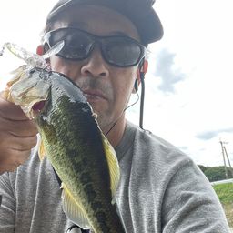 ブラックバス