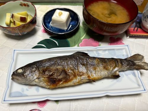 トラウトの釣果