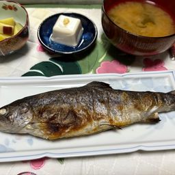 トラウト