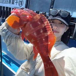 アカハタ