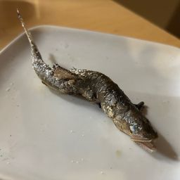 アユ