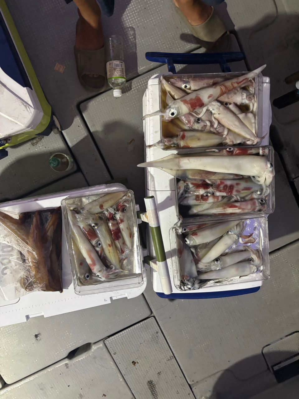 田畑良朗@なつき丸さんの釣果 2枚目の画像