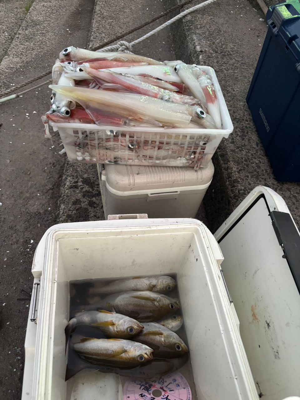田畑良朗@なつき丸さんの釣果 3枚目の画像