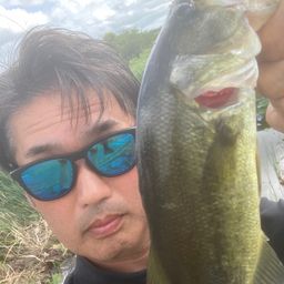 ブラックバス