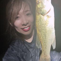 ブラックバス