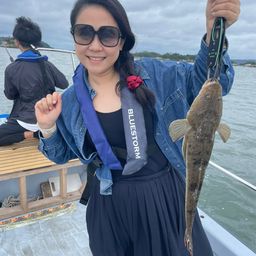 マゴチ