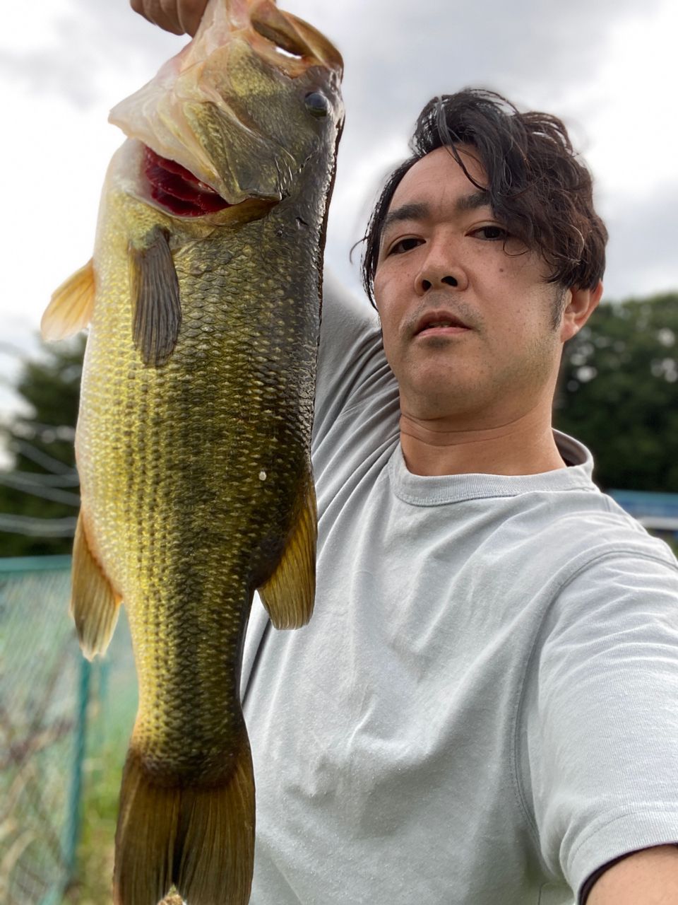 ラージマウスバス