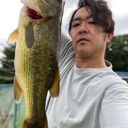 ラージマウスバス