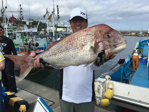 マダイの釣果