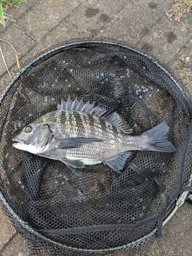 潮見さざなみ公園