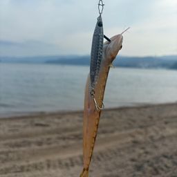 エソ