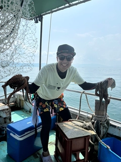 タコの釣果